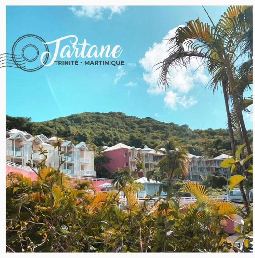 Résidence de la baie - BLEU SOLEIL TARTANE Trinité  Extérieur photo