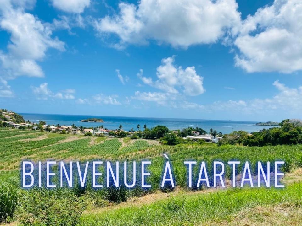 Résidence de la baie - BLEU SOLEIL TARTANE Trinité  Extérieur photo